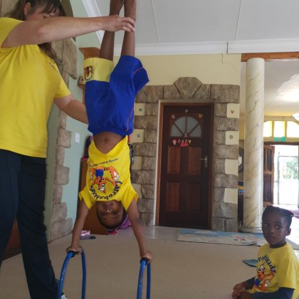 Handstand P-Bar
